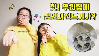 리나월드 — 13.1만